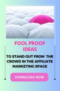 guide how to stand out from the crowd in affiliate marketing