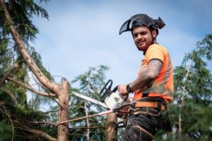 tree surgeon service side hustle