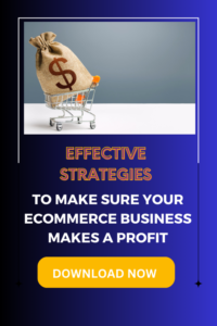 strategies to make an ecommerce profit